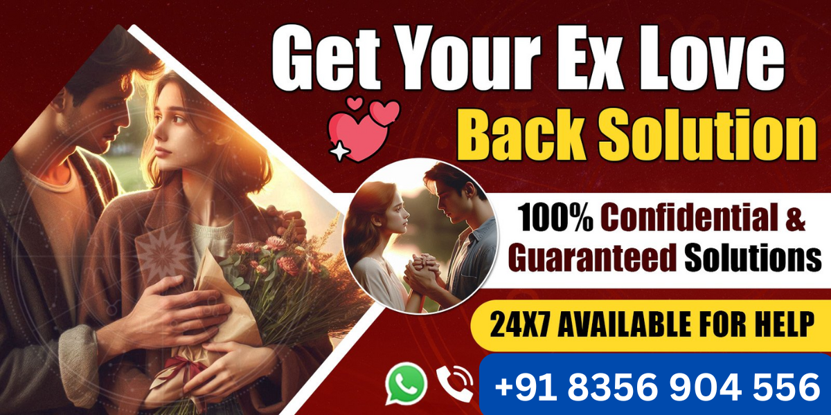 +91 96661 15195 (2)